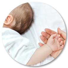 Kompas Website Images Icon-36